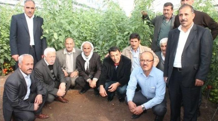 G&uuml;neydoğulu &Uuml;reticiler Antalya&rsquo;da Seraları Gezdi