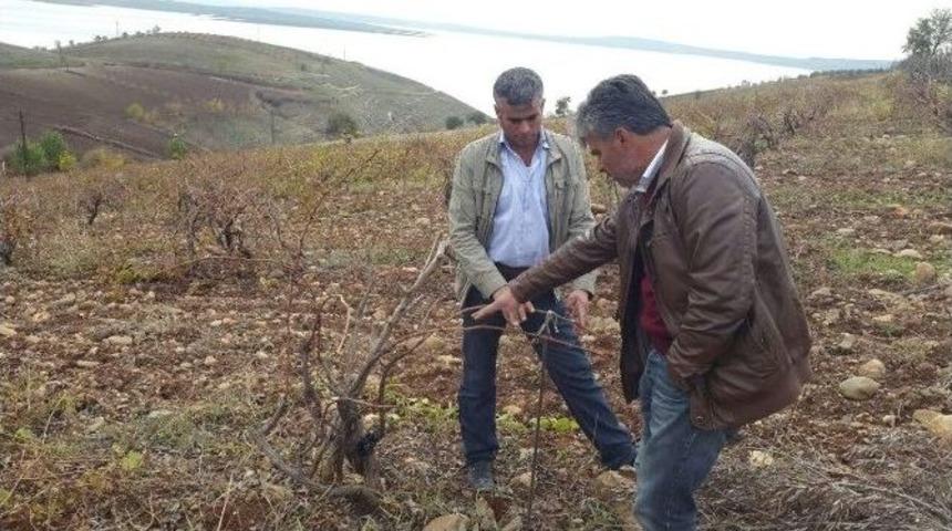 &Ccedil;ift&ccedil;ilere G&uuml;breleme Ve Sulama Anlatıldı