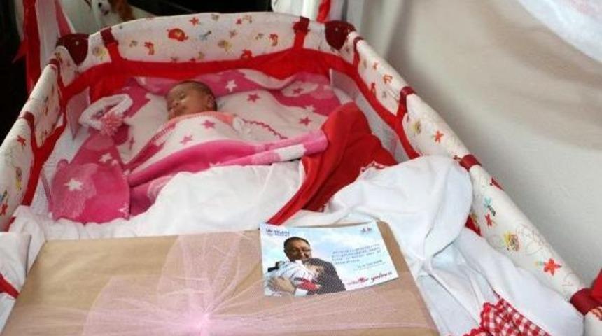 Yalova&rsquo;Da Her Yeni Doğan Bebeğe Bir Ağa&ccedil;