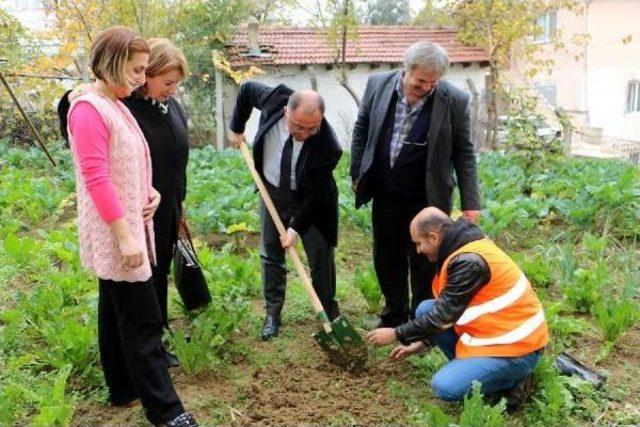 Yalova’Da Her Yeni Doğan Bebeğe Bir Ağaç