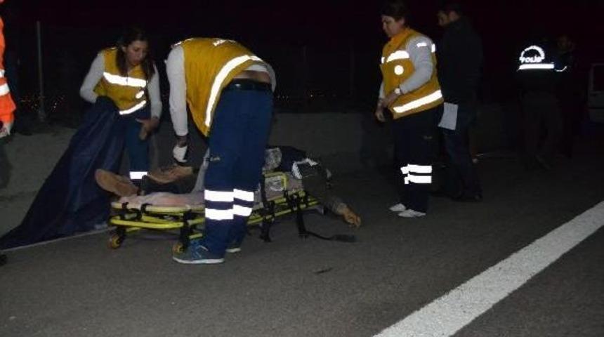 Ke&ccedil;iyi Kurtarmak İsterken Canindan Oldu