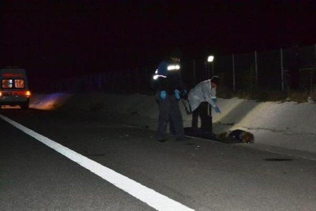 Keçiyi Kurtarmak İsterken Canindan Oldu 1