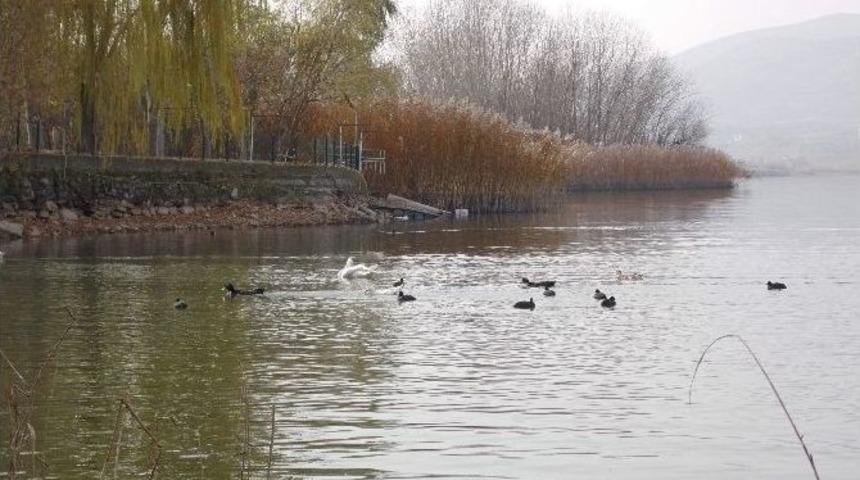 G&ouml;lbaşı Tabiat Parkı Sonbaharı Yaşıyor