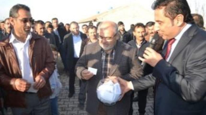 Yabancı D&uuml;veler Sahiplerini Buldu