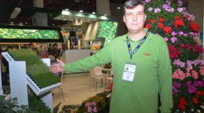 Antalya'dan Limonlu Kekik İhracati