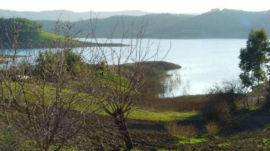 Avcı: &ldquo;seyhan Bitmiş, Gelin &Ccedil;atalan&rsquo;ı Kurtaralım&rdquo;