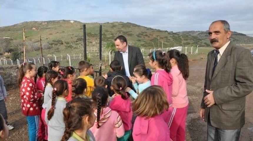 Zeytin &Ccedil;ekirdeklerinin Yeni Hedefi Keman &Ouml;ğrenmek