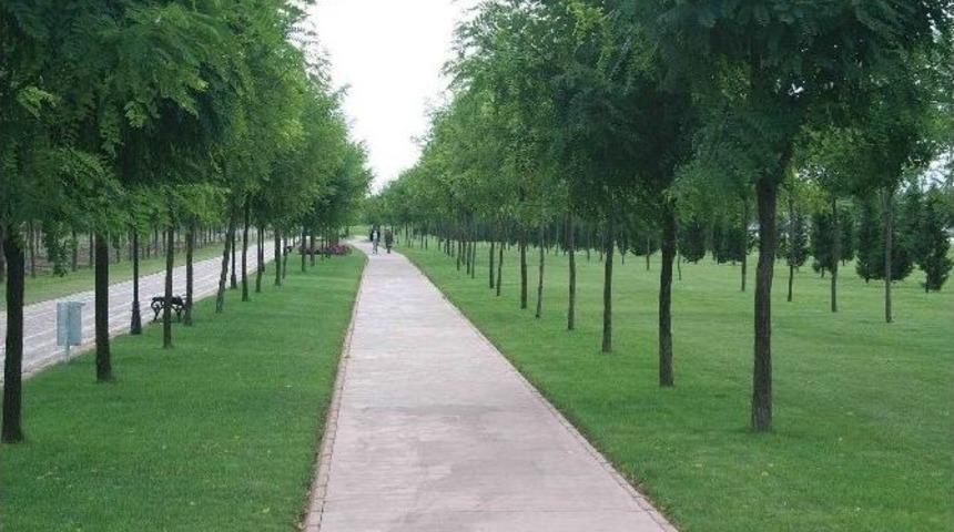 2015&rsquo;te Kocaeli&rsquo;ne 1 Milyon 500 Bin Ağa&ccedil; Dikilecek