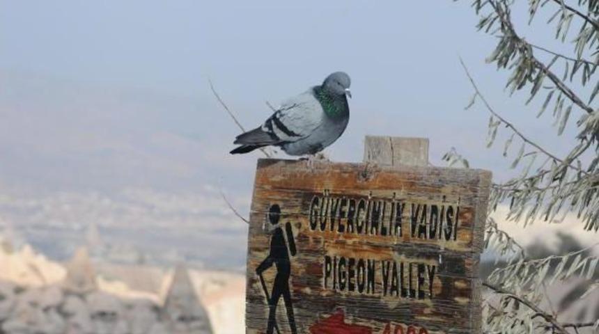Litvanya Cumhurbaşkani  Dalia Gryhauskaite Kapadadokya&rsquo;Da