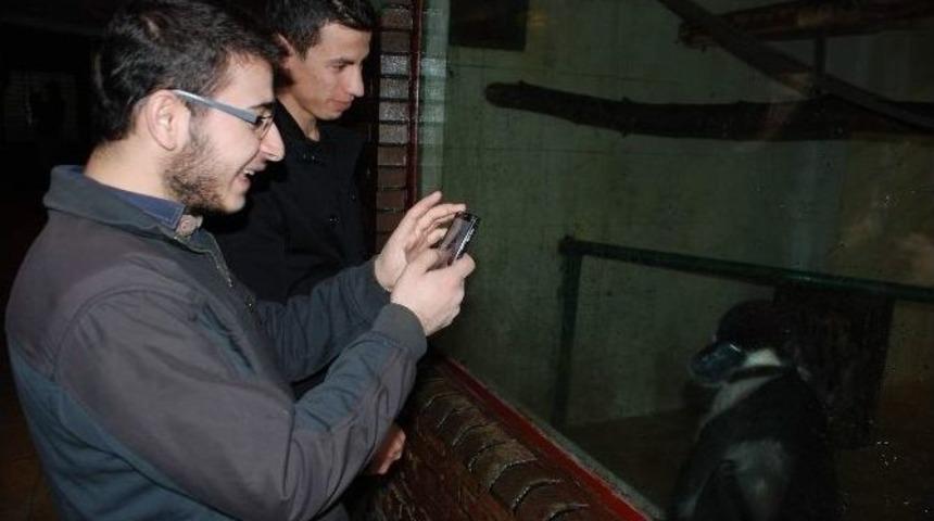 G&uuml;zel Havayı Fırsat Bilip G&uuml;n&uuml; Hayvanat Bah&ccedil;esinde Ge&ccedil;irdiler