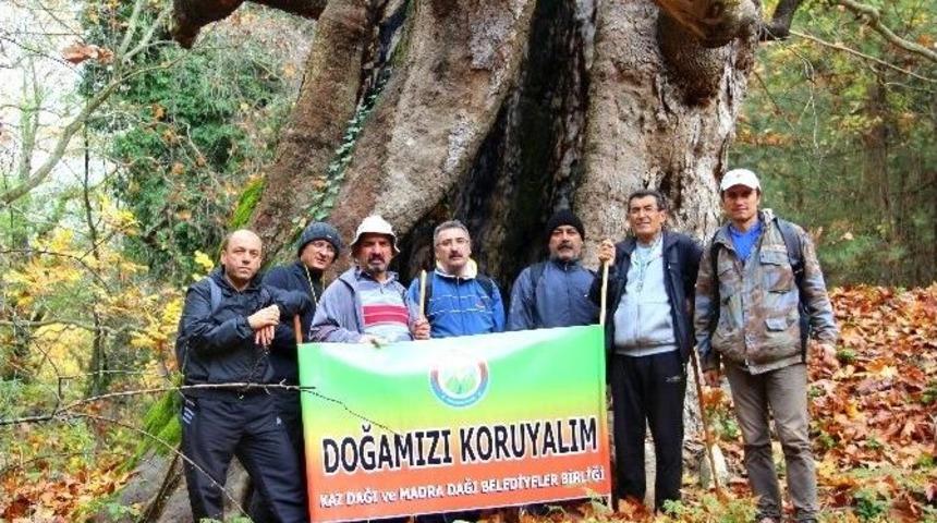 Doğa Severler, Kaz Dağlarındaki Termik Santrale Karşı