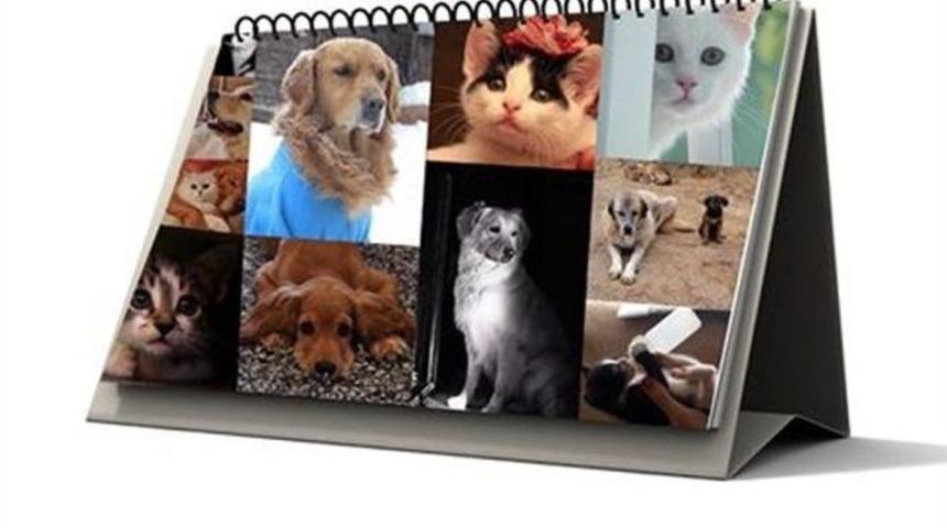 Yeni Yılın En Şirin Takvimi