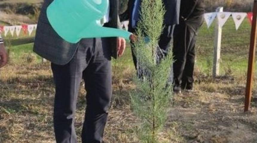 Ato&rsquo;nun, &lsquo;120. Hatıra Ormanı&rsquo; Fidanları Toprakla Buluştu