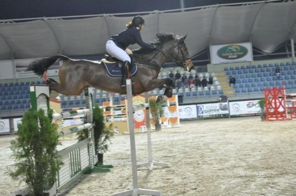 İllerarası Binicilik Engel Atlama Yarışması