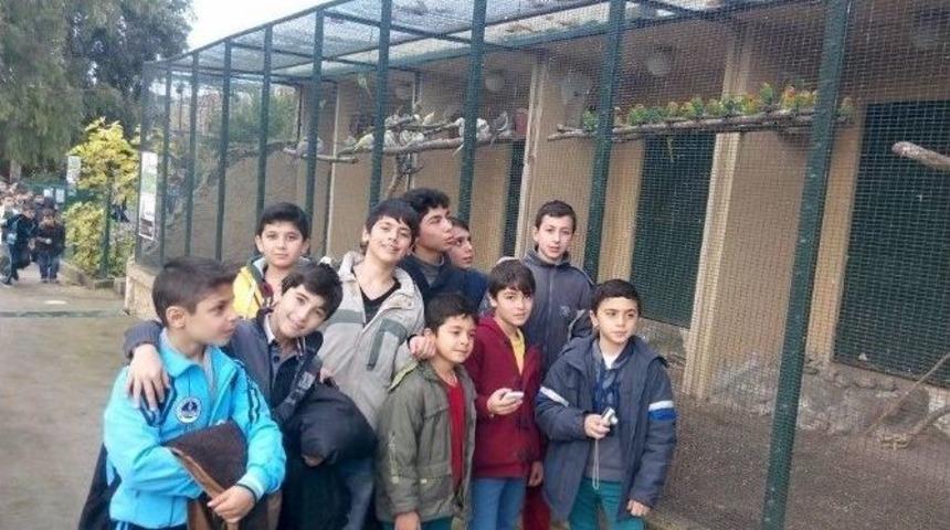 B&uuml;y&uuml;kşehirli Judocular, Hayvanat Bah&ccedil;esini Gezdi