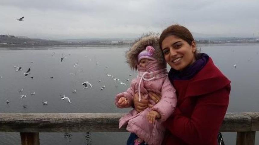 Mogan G&ouml;l&uuml;'nde A&ccedil; Kalan Kuşlarin Yiyecek Kavgasi