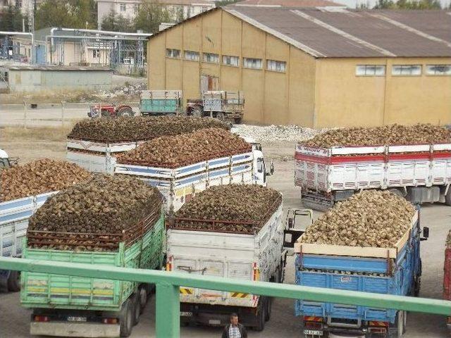 Malatya’da Pancar Kampanyası Sona Erdi