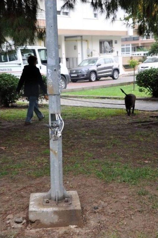 Parkta Aydınlatma Direğine Bağlanan Köpek Telef Oldu