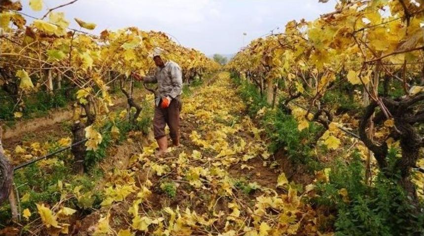 Muhteşem Doğa Olayını G&ouml;renler Bir Daha Baktı