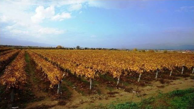 Muhteşem Doğa Olayını G&ouml;renler Bir Daha Baktı 2