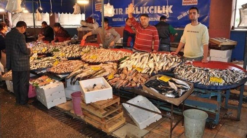 Balık&ccedil;ılardan Kota &Ouml;nerisi