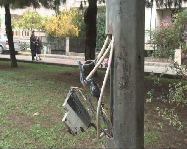 Hayvansever Tedavi Görüyor, Belediye 'ihmal Yok' Diyor