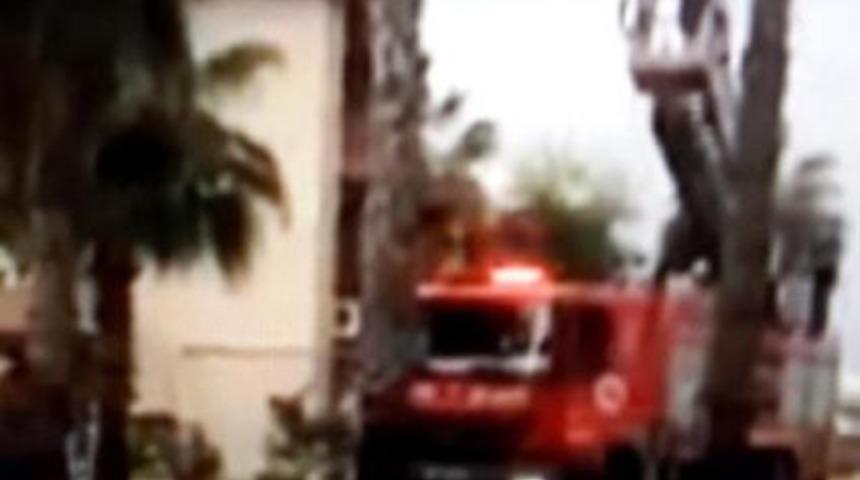 İtfaiyeden Papağan Yakalama Operasyonu