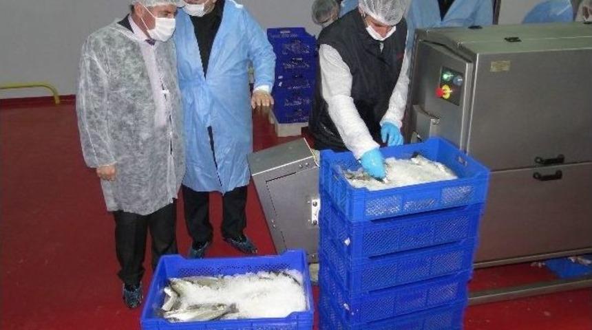 Kırsal Kalkınma Yatırımından Yararlandı, Ekonomiye Katkıda Bulunuyor