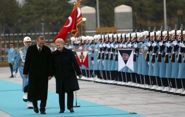 Litvanya Cumhurbaşkani, Resmi Törenle Karşilandi