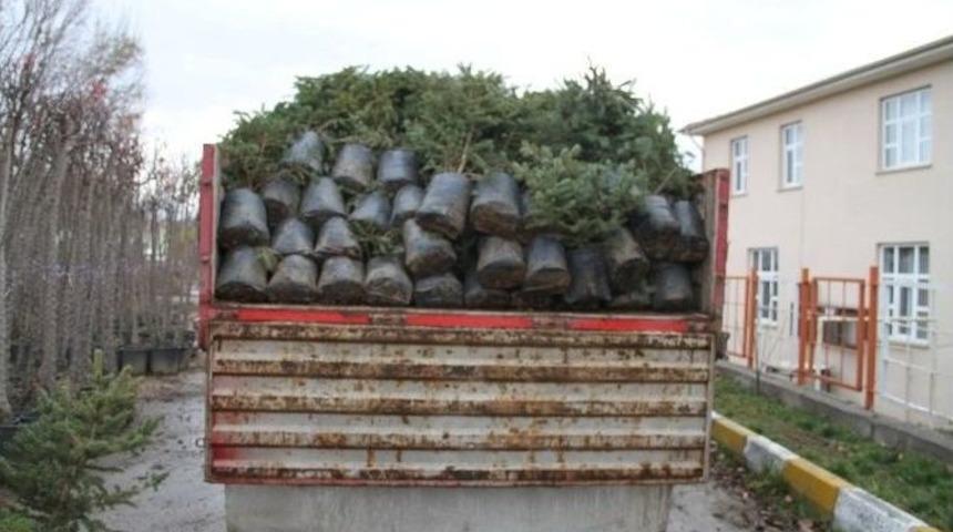 Erzincan&rsquo;da Kişi Başına 25 Metrekarelik Yeşil Alan D&uuml;ş&uuml;yor