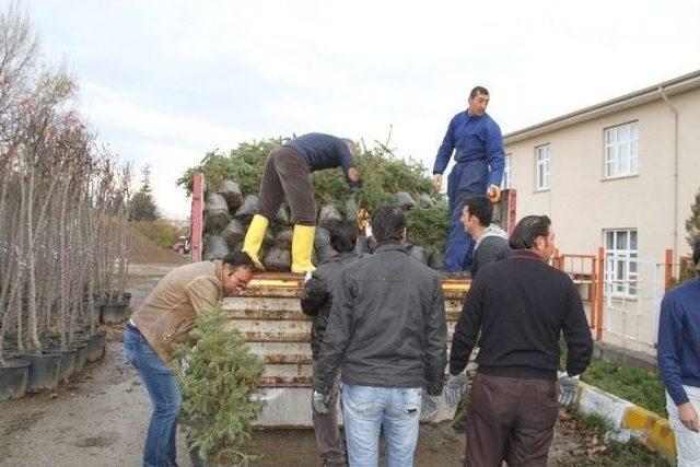 Erzincan’da Kişi Başına 25 Metrekarelik Yeşil Alan Düşüyor