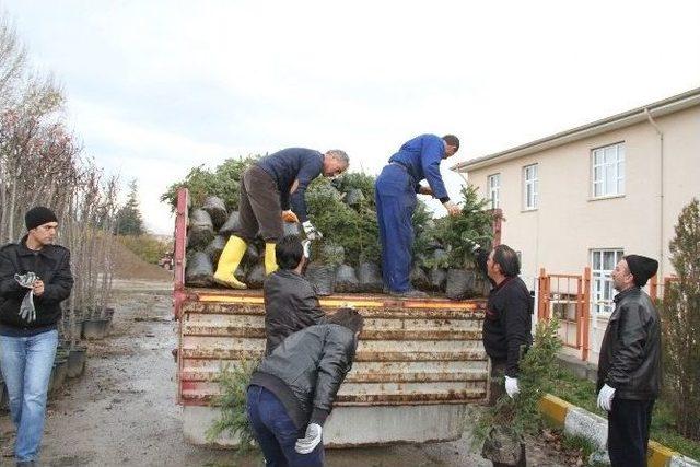 Erzincan’da Kişi Başına 25 Metrekarelik Yeşil Alan Düşüyor