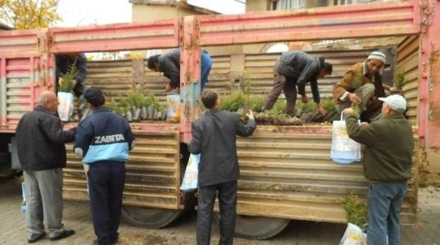 Konya&rsquo;nın &Uuml;&ccedil; İl&ccedil;esinde 30 Bin Fidan Toprakla Buluştu