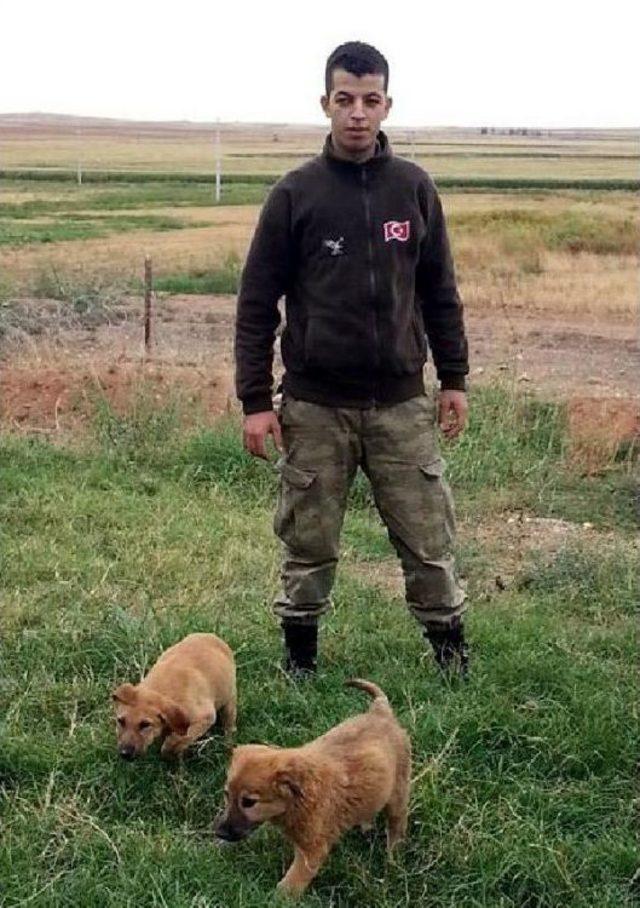 Şehit Onbaşı Kadir Yılmaz Karam&uuml;rsel de Toprağa Verildi 3