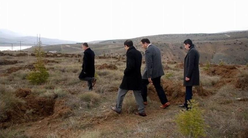 G&ouml;lova&rsquo;da Ağa&ccedil;landırma &Ccedil;alışmaları