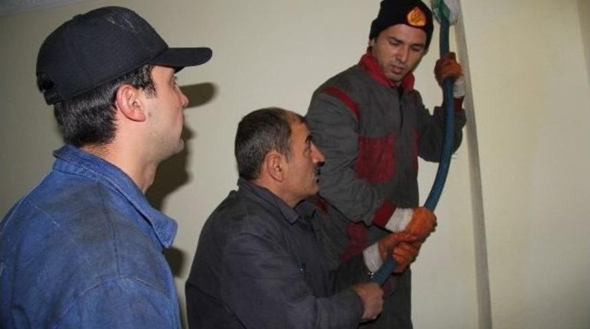 Bacalarınızı Mutlaka Temizletin