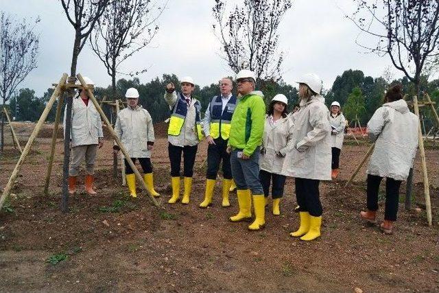 Aıph Ve Bıe Yetkilileri Antalya’da