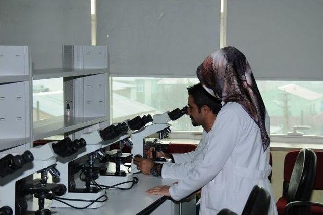 Iğdır Üniversitesi’ne 400 Bin Tl Değerinde Laboratuvar Cihazı Hibe Edildi