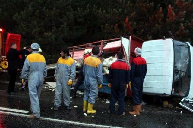 Yılbaşı Hindilerini Taşıyan Kamyon Devrildi: 3 Yaralı