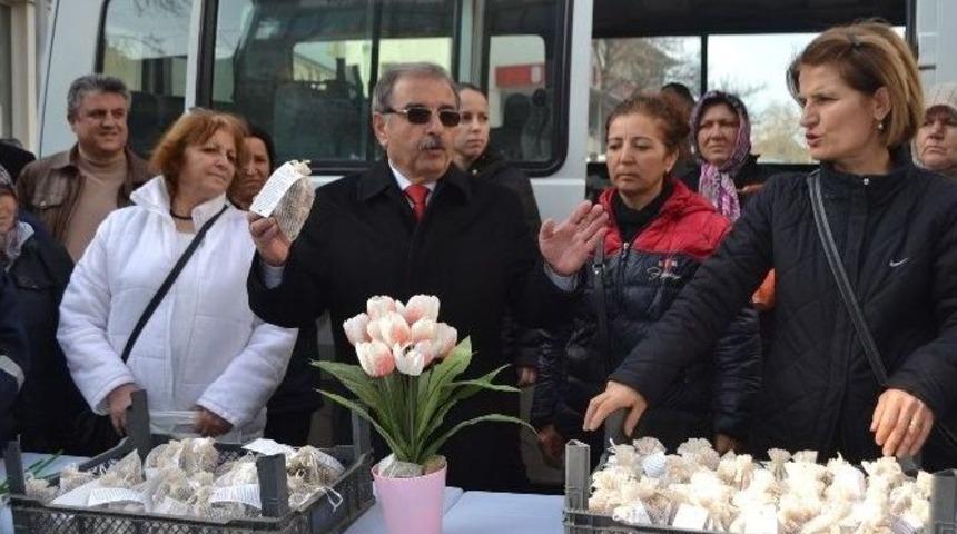 Gelibolu&rsquo;da Bin Adet Lale Soğanı Dağıtıldı