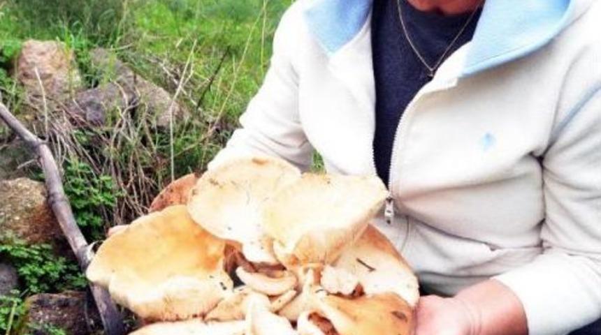 Dev Mantar Şaşırttı