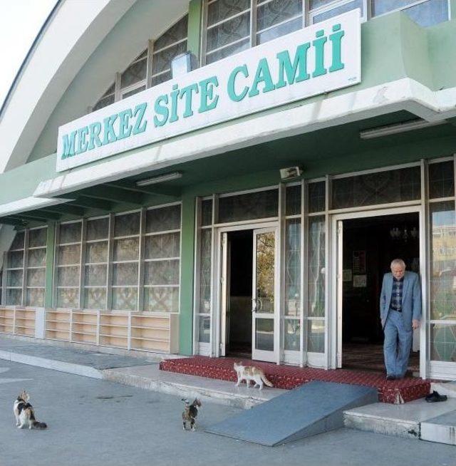 Camiye De Yanından Ayrılmayan Kedilerle Gidiyor