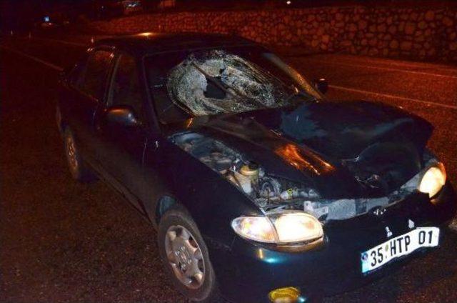 Yolun Karşısına Ge&ccedil;emedi 1