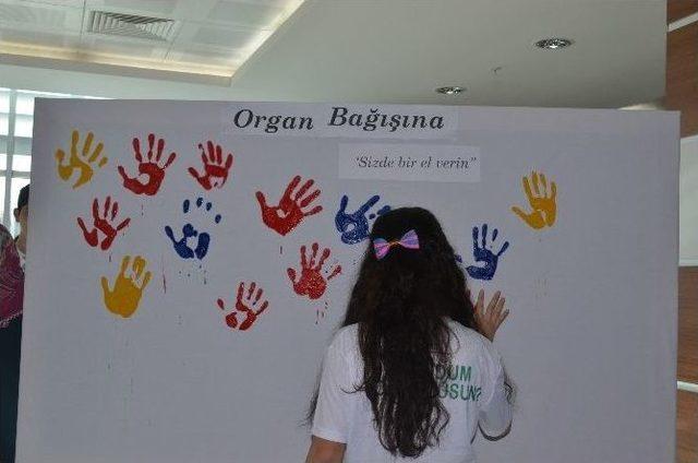 Öğrencilerden “organ Bağışına Siz De Bir El Verin” Etkinliği