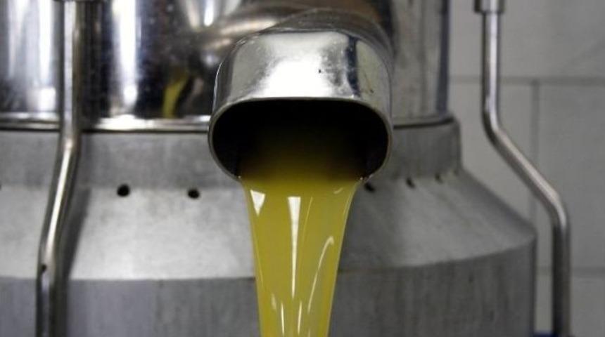 Zeytin Posası İle Karını 2.5 Kat Arttıracaklar