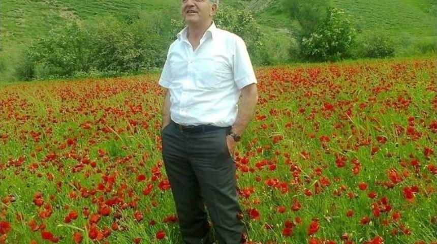 Gazeteci Ali Sevmiş Hayatını Kaybetti