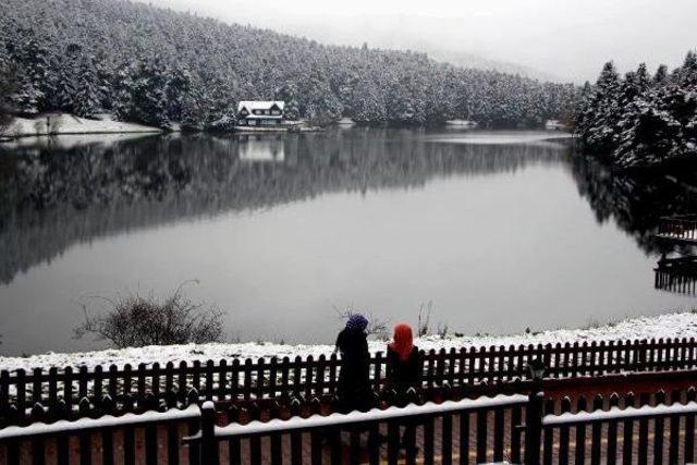 Bolu'da Doğa Harikasına Ziyaretçi Akını