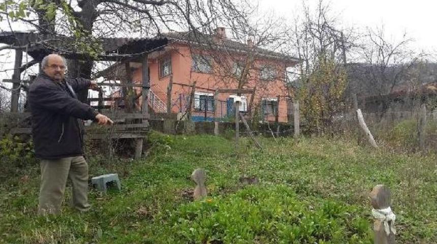 Annesinin Mezarının Evinin Bah&ccedil;esinden Kaldırılmasını İstiyor