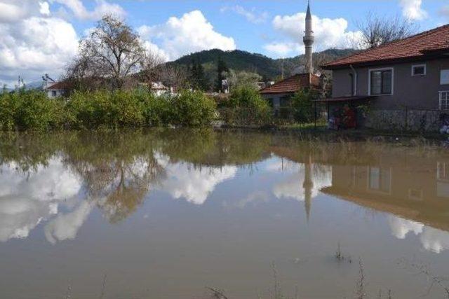 Ortaca'da Tarım Arazileri İle Meyve Bahçeleri Sular Altında