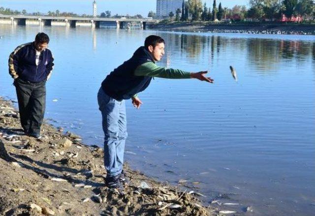 Suriyeliler &Ouml;l&uuml; Balıkları Topladı 3